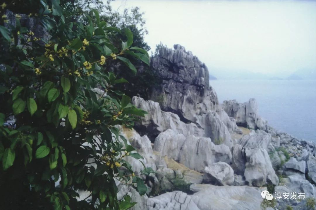 30年前的千岛湖是什么样的,曾经被污染的千岛湖