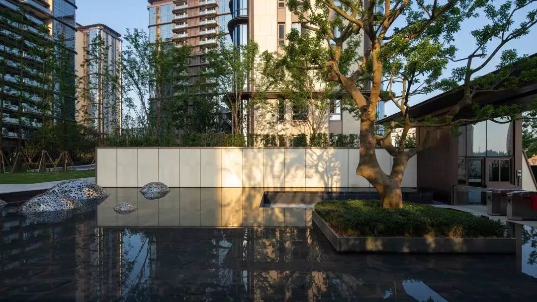 龙湖舜山府背后的故事,2024年重庆龙湖舜山府