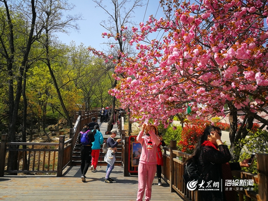 崂山风景区最值得去的景点,崂山风景区好评