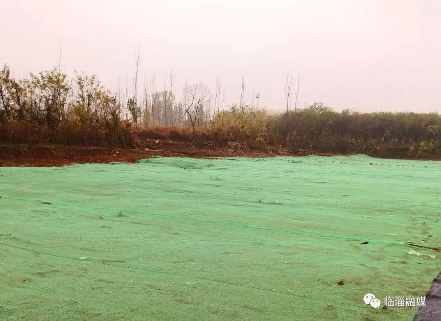 临淄经济发展现场,临淄经济社会发展