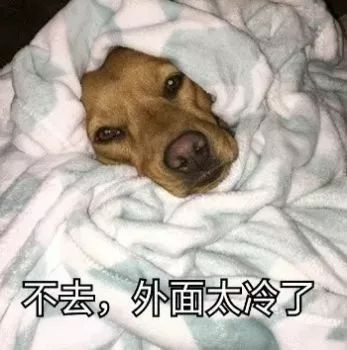 又瘦腿又拉伸还要改善腿型,瘦腿提臀的光腿神器