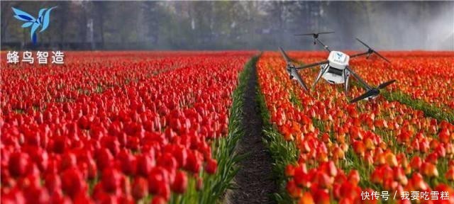 植保无人机喷药过程常见问题,植保无人机飞防节省农药吗