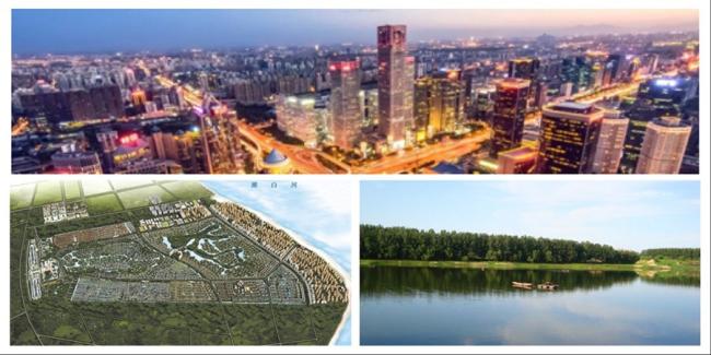 2024年合生创展规划,合生创展的发展