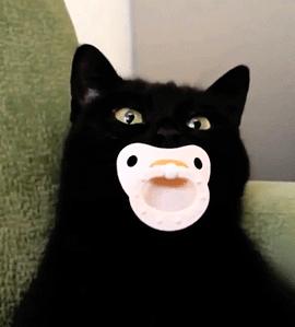 成本几元卖上百,成分致癌,你家孩子可能正在用