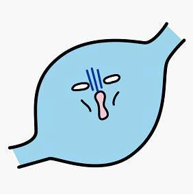 流量小花综艺首谈婚恋观,拼命奋斗竟是为攒嫁妆钱?