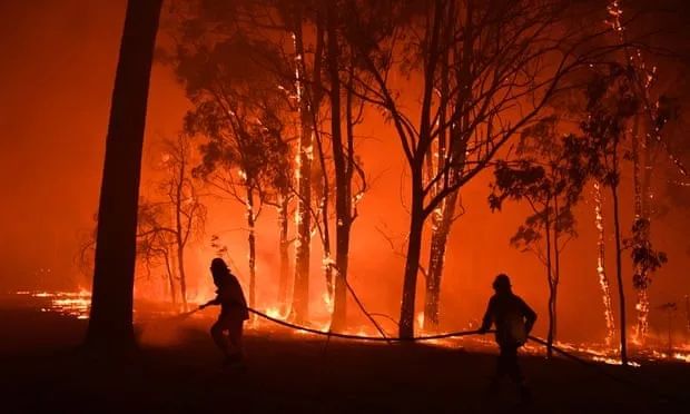 英语热词最新2024,三大权威英语词典