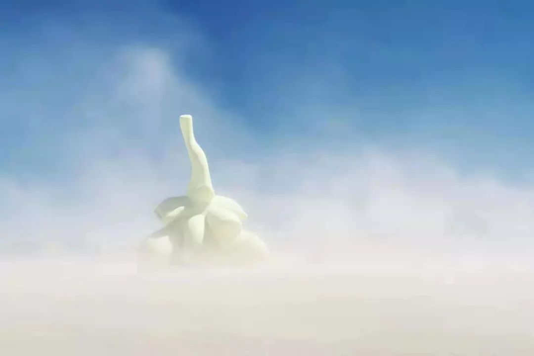 2019火人节｜这8天，我在黑石城里都经历了些什么？