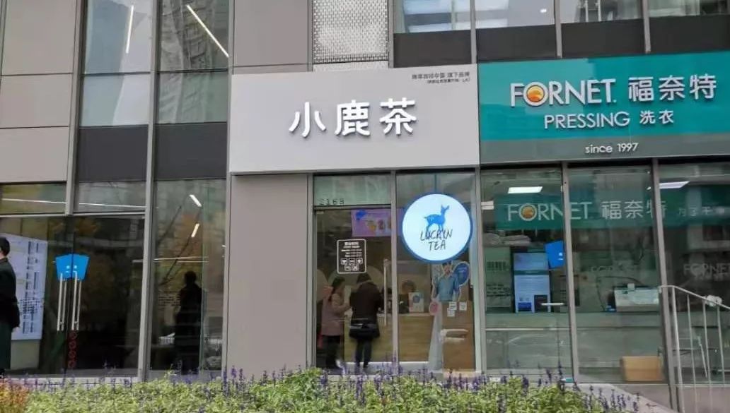 小鹿茶和瑞幸咖啡有什么区别,小鹿茶和瑞幸咖啡区别