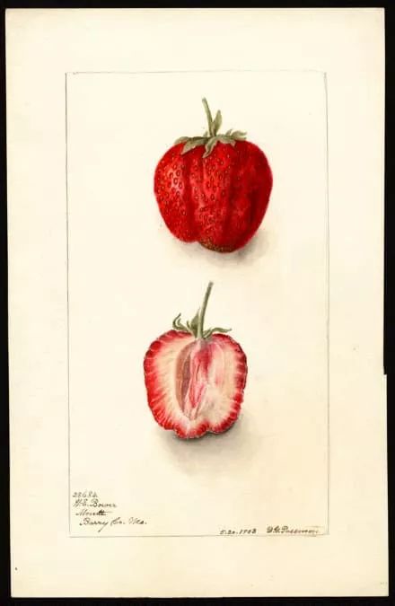 科技爱好者周刊,科技爱好者综艺