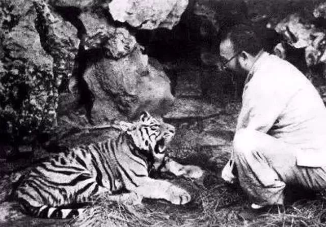 趣读丨旧时苏州人「养宠物」极简史，不只是吸猫遛狗