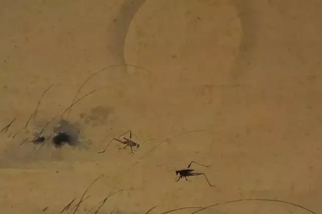 趣读丨旧时苏州人「养宠物」极简史，不只是吸猫遛狗