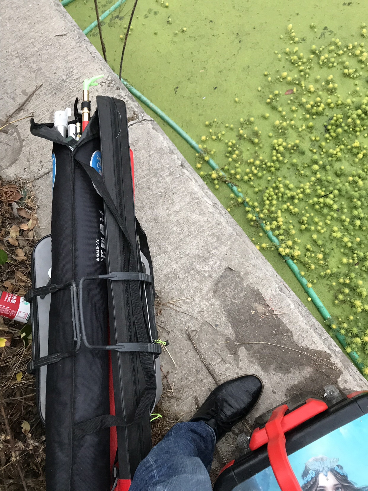 野钓垂钓实录,野钓钓鱼视频实战