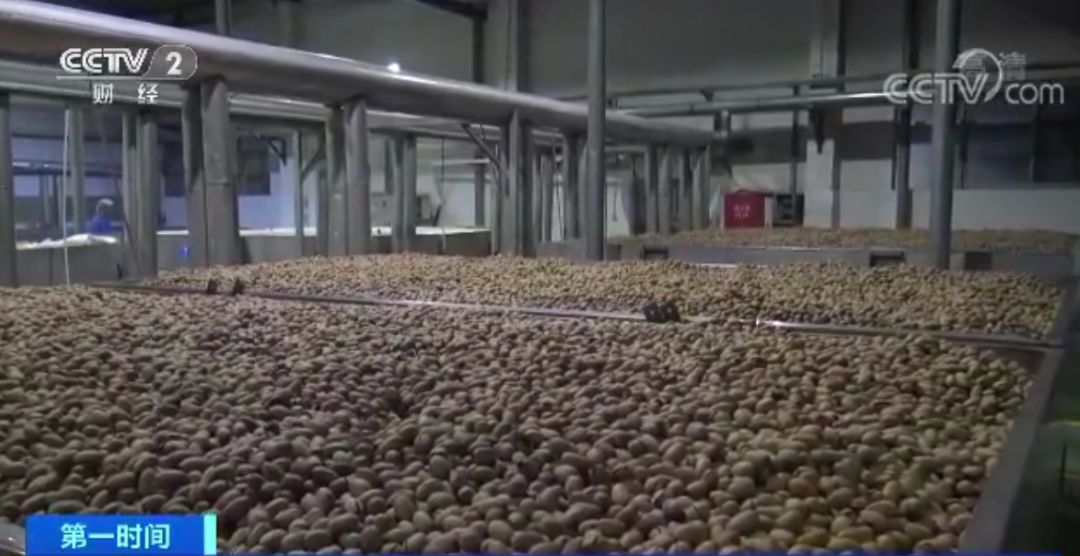 1级致癌坚果有哪些,1级致癌坚果名单