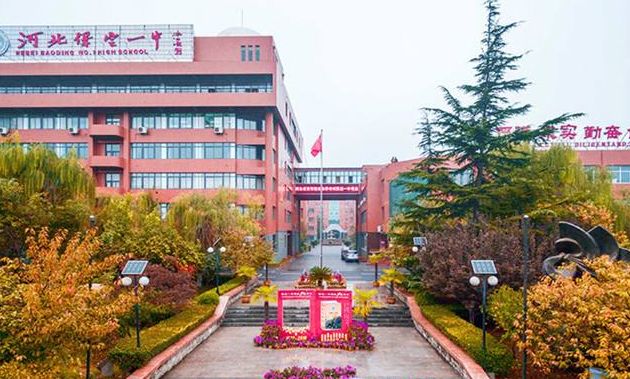 沧州市成绩顶尖的小学排名,沧州最佳优秀通报