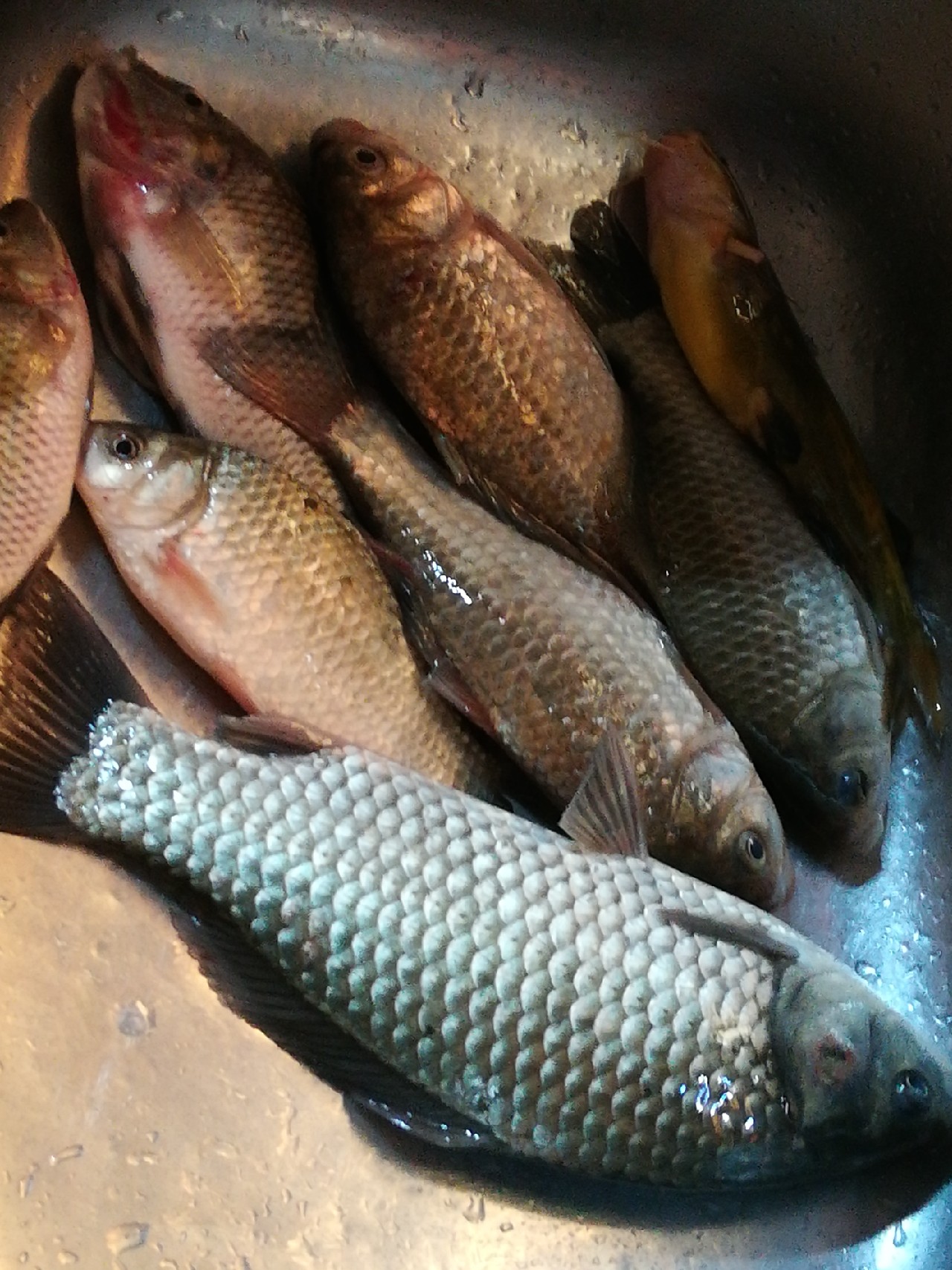 不钓鱼全是烦恼,不钓鱼心里没滋味