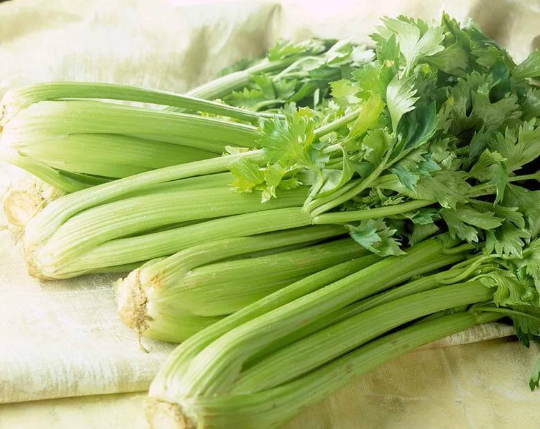 换季容易感冒?吃药之前可以试试这些食物,好处很多