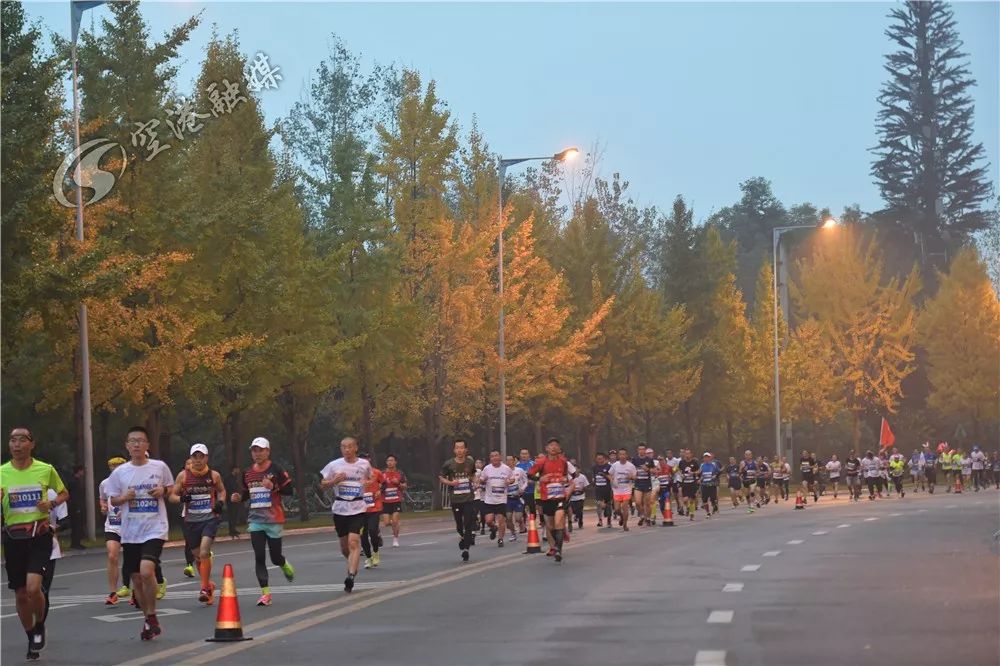 omg爆火,最近超火的omg视频