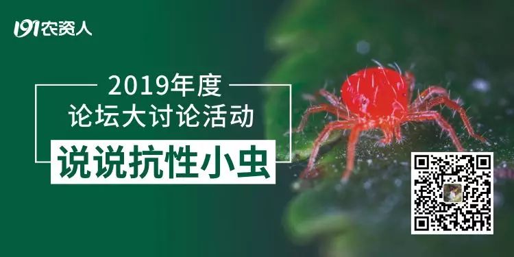 柑橘大混战怎么卖果,种植柑橘靠品质盈利谈何容易