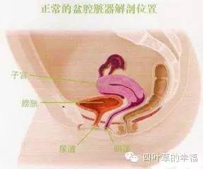 妇科保守治疗一般都是什么病,妇科调理骗局截图