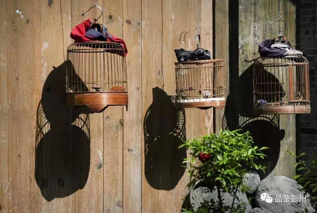 彭州许你一个七彩的世界,来彭州带你看海