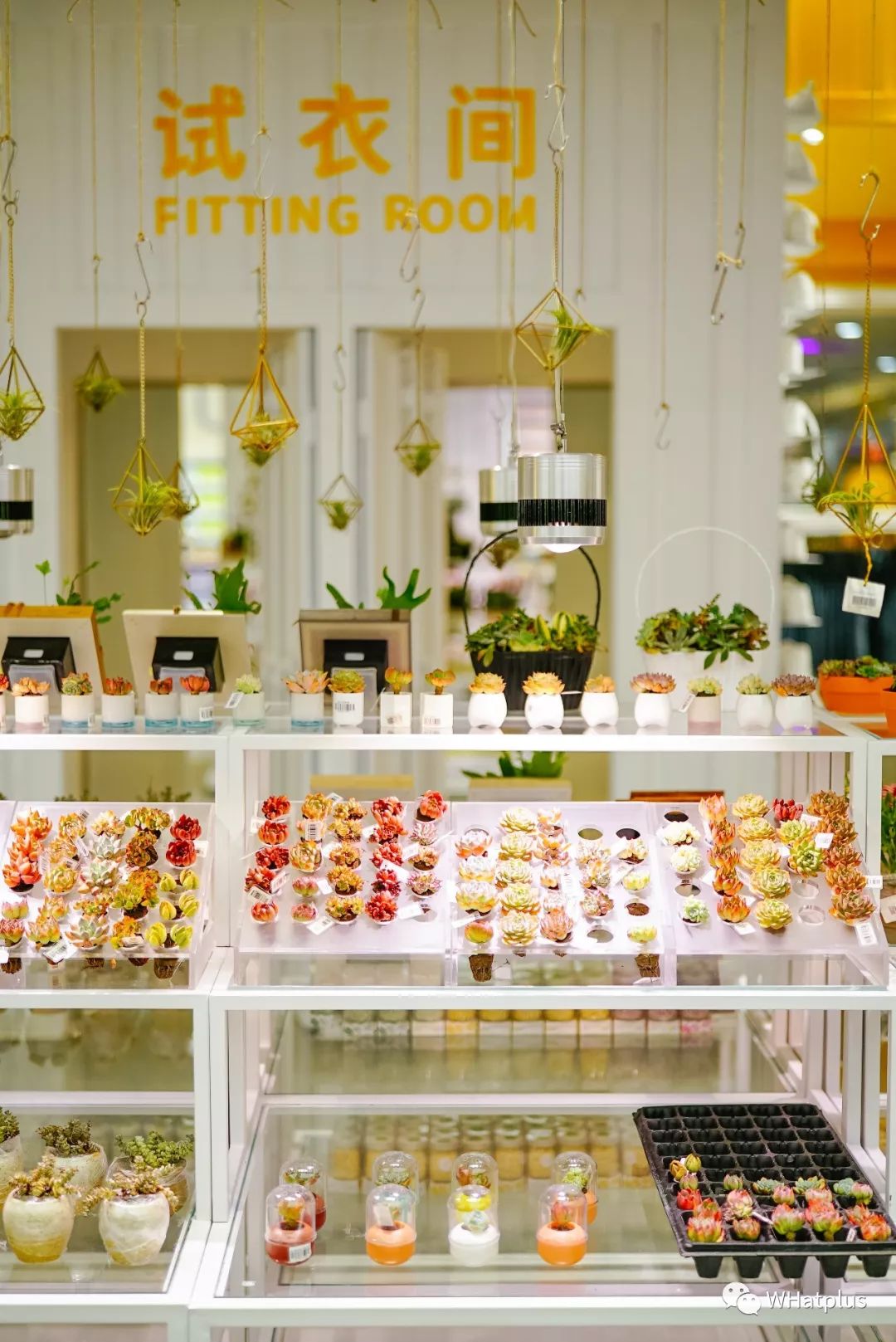 老年人才*淘宝刷**，年轻人都去逛超市了