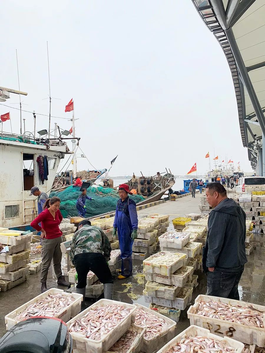 台湾评价吕四海鲜,吕四海鲜干货