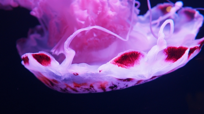 奥林巴斯em5一代拍摄效果,奥林巴斯em5mark3拍照样张