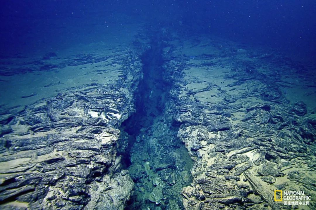 外星生物会长什么样子,外星生物真的存在吗