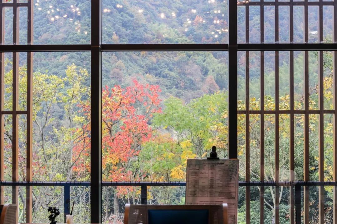 新昌安岚山居酒店,温泉入户竹林山居