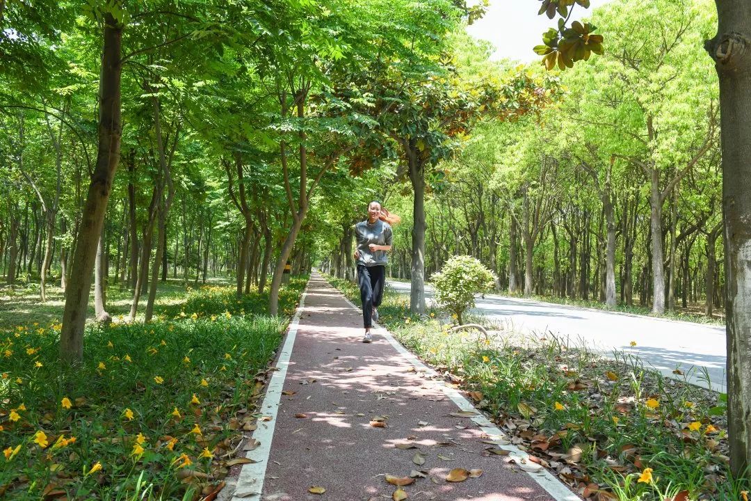 最美步道评选,黄浦最美健身步道