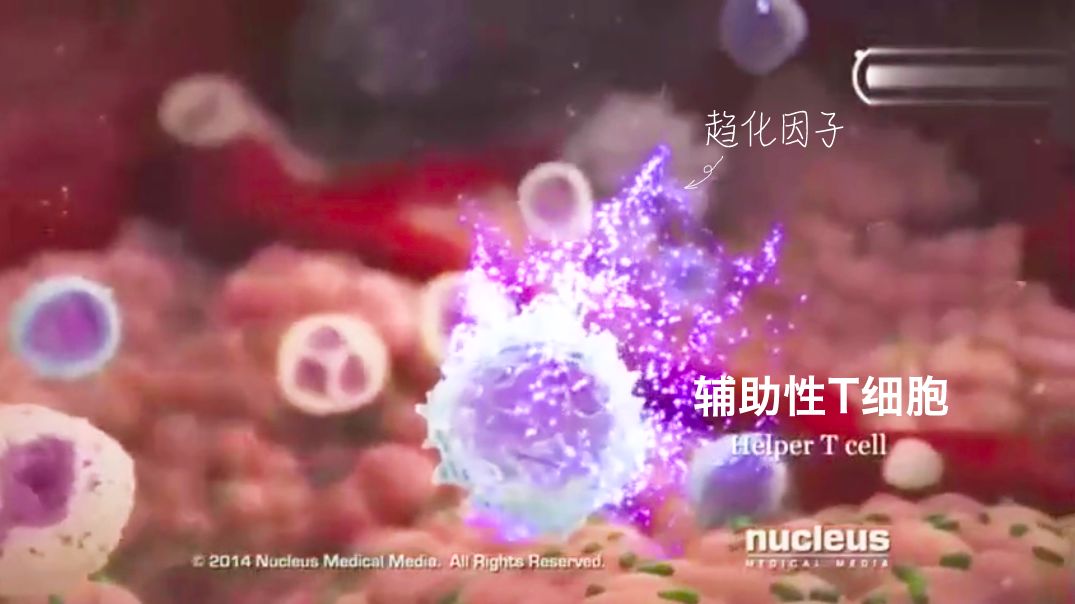 谈艾色变终结艾滋病流言,谈艾色变恐艾症