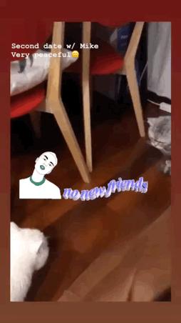 十一月好物种草,11月好物