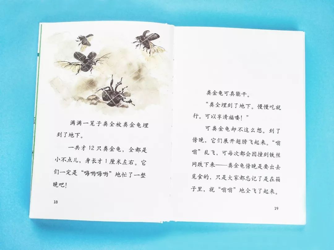 成长必读法布尔昆虫记,法布尔昆虫记书分享