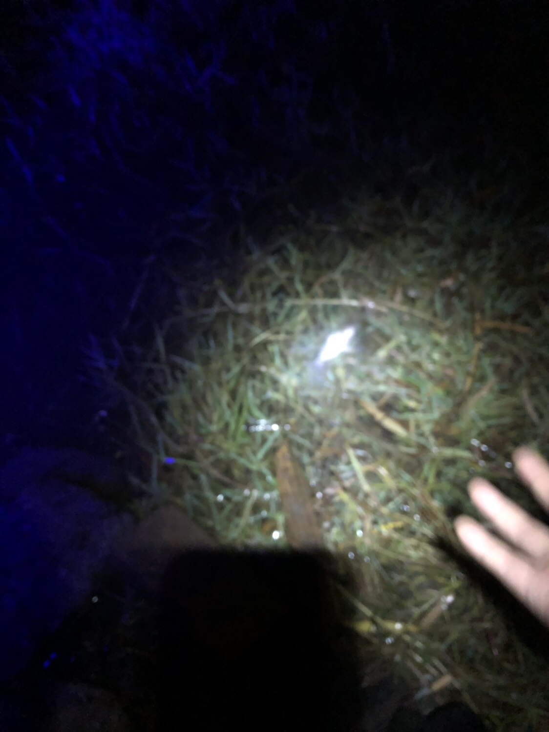 时隔一年再次踏上征程,时隔一年再次出征