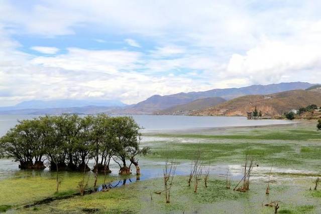 泸沽湖虎跳峡香格里拉怎么坐车,丽江香格里拉泸沽湖虎跳峡