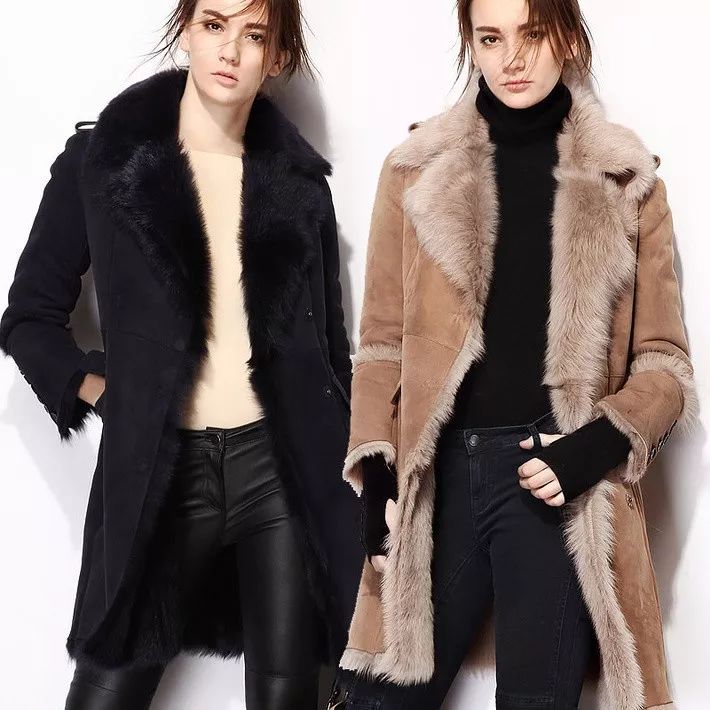 这场全金华人不要错过的团购会，马小家族带你一起去嗨皮