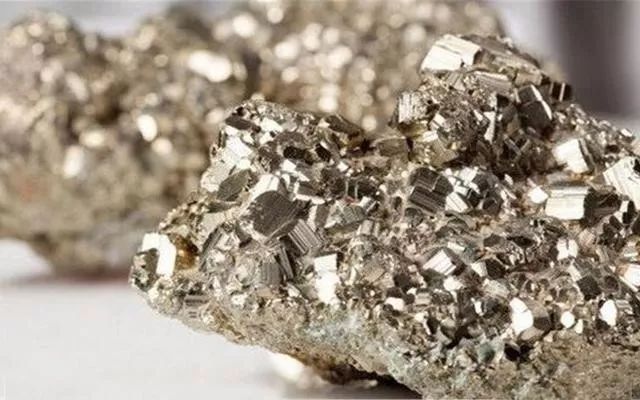 不务正业科学家,不务正业的科学家