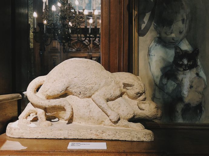 各种猫咪的博物馆,猫咪博物馆都有哪些猫