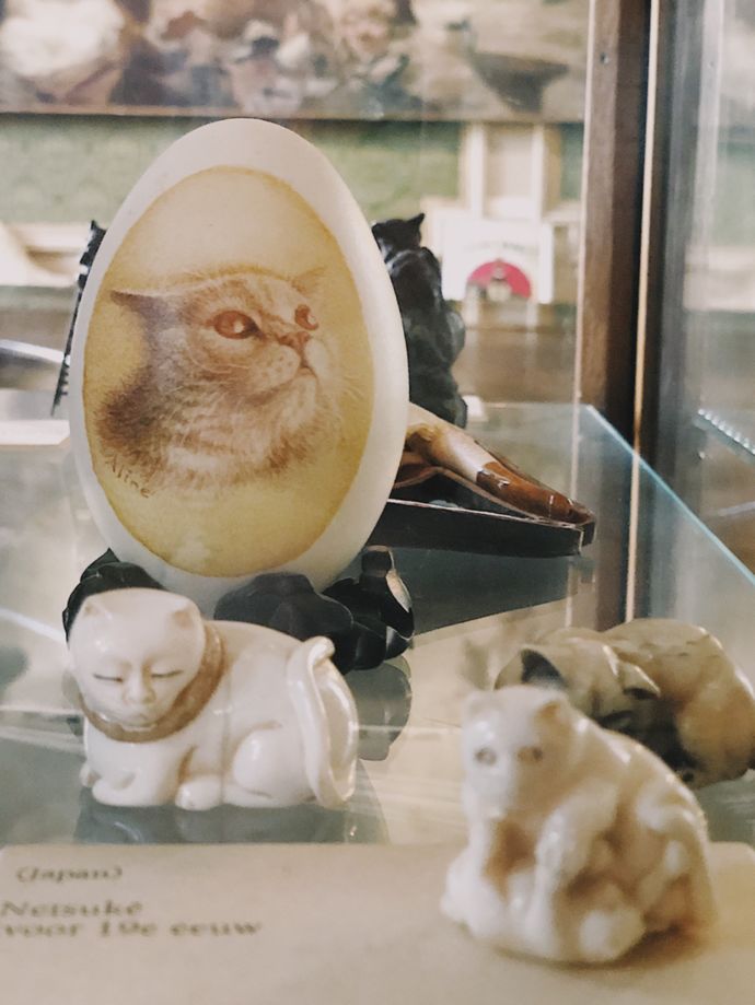 各种猫咪的博物馆,猫咪博物馆都有哪些猫