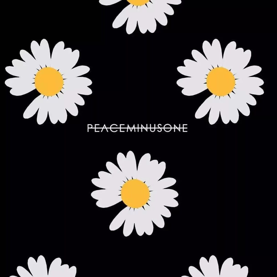 权志龙喜欢的雏菊是什么雏菊,权志龙的小雏菊为什么少一半