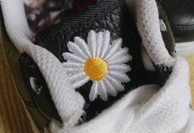 权志龙喜欢的雏菊是什么雏菊,权志龙的小雏菊为什么少一半