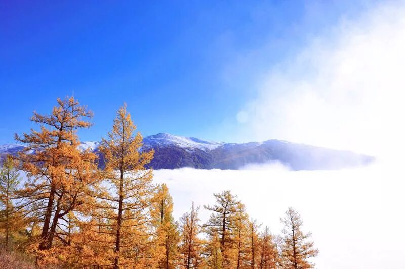 五月一日游布尔津,7月新疆布尔津旅游攻略