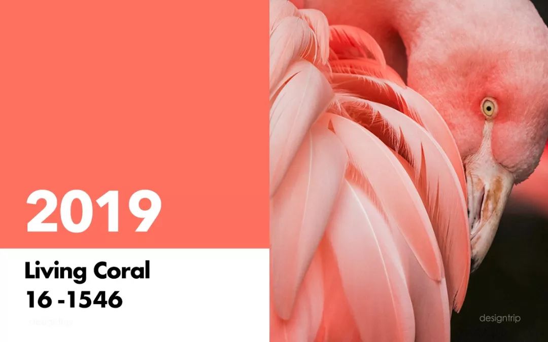 pantone2018公布流行色,pantone公布2020年年度颜色