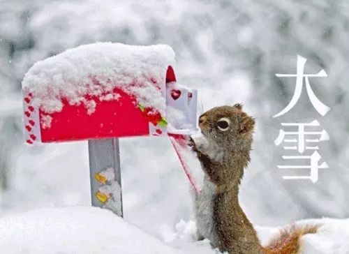 北京昌平大雪暴雪,今日大雪今年冷不冷
