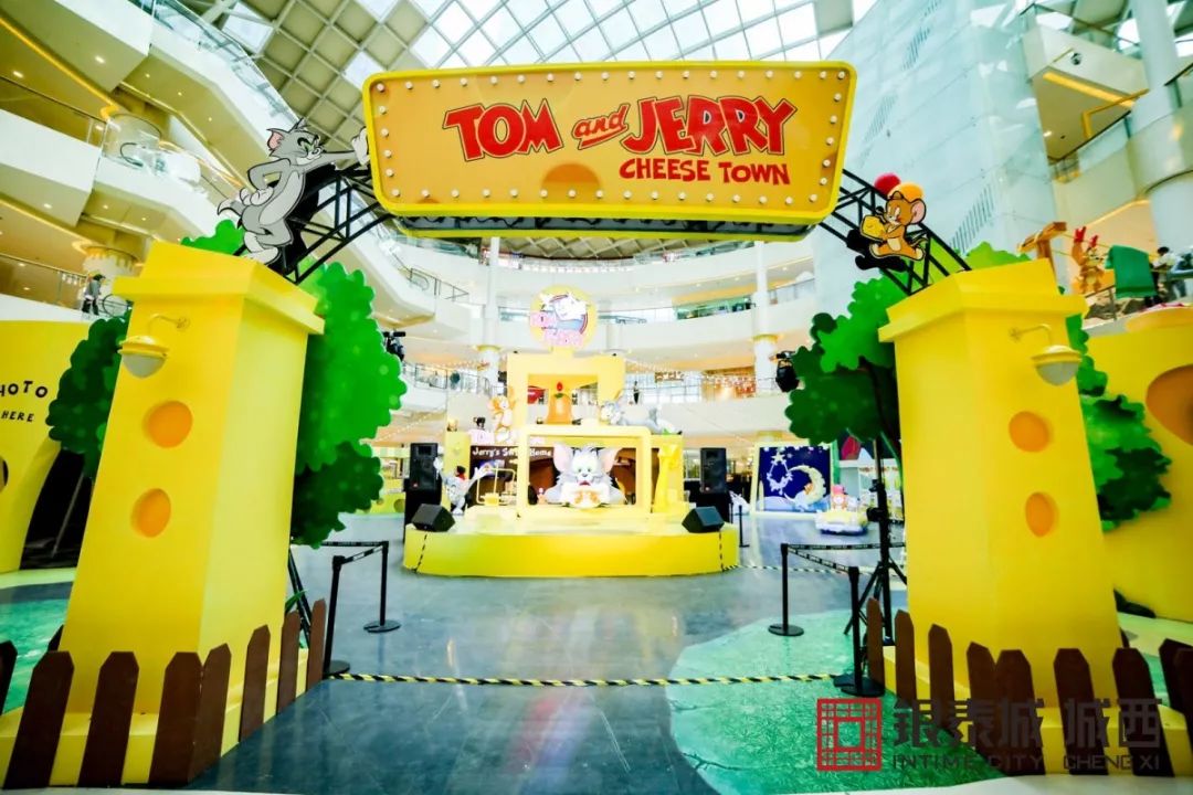 猫和老鼠动画片24小时轮播,猫和老鼠动画速看