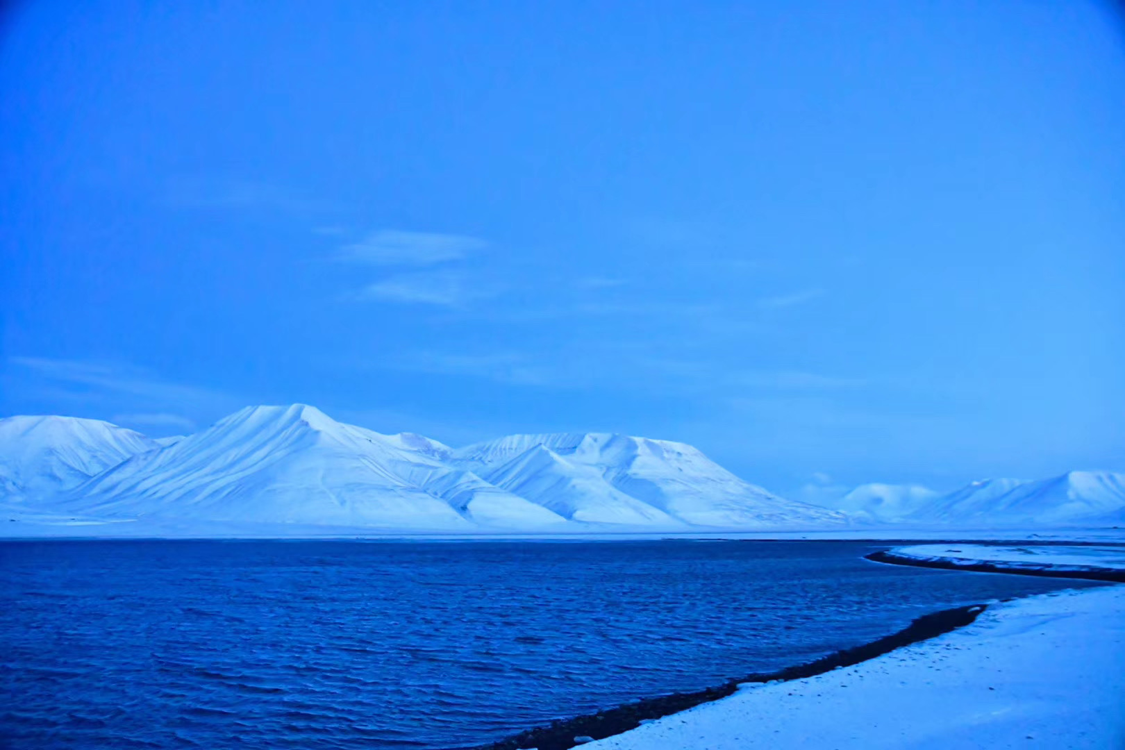 斗鱼直播河北,斗鱼直播北极