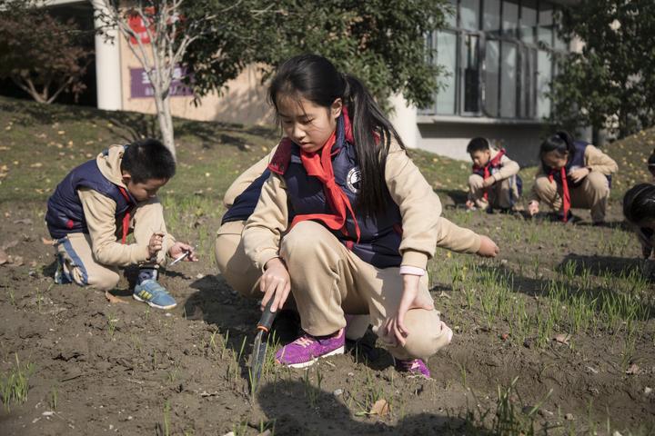 杭州开放教育,杭州美好教育官网