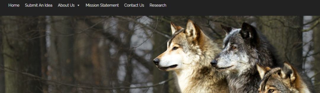 趣头条号回应做空报告,趣头条回应做空指控报告严重错误