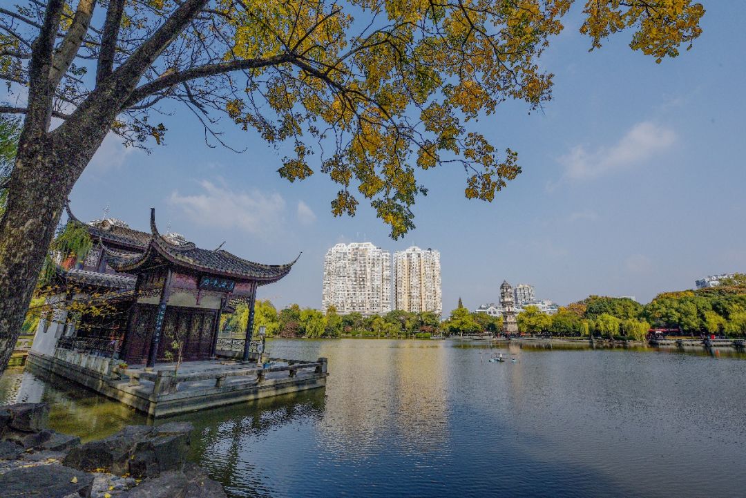 义乌十大网红打卡地,义乌网红打卡小镇