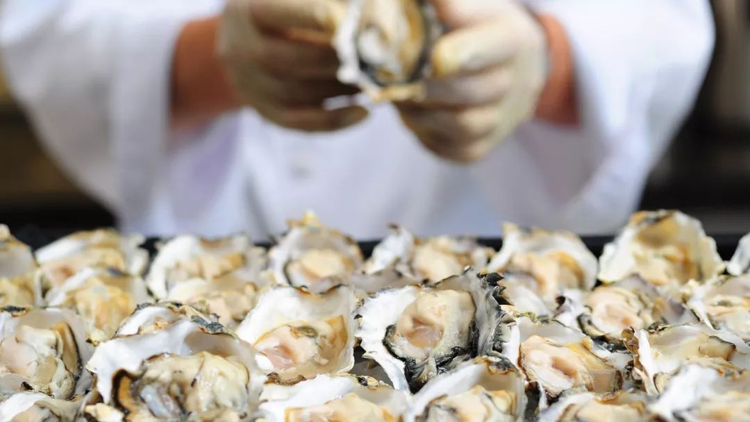 宁波威斯汀酒店圣诞自助餐团购,威斯汀酒店圣诞自助餐